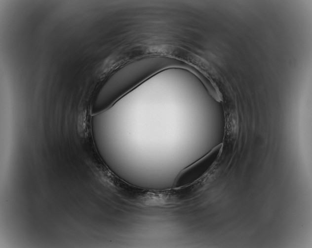 X0000087350764200704200804