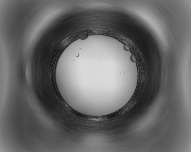 X0000087350765200704200804