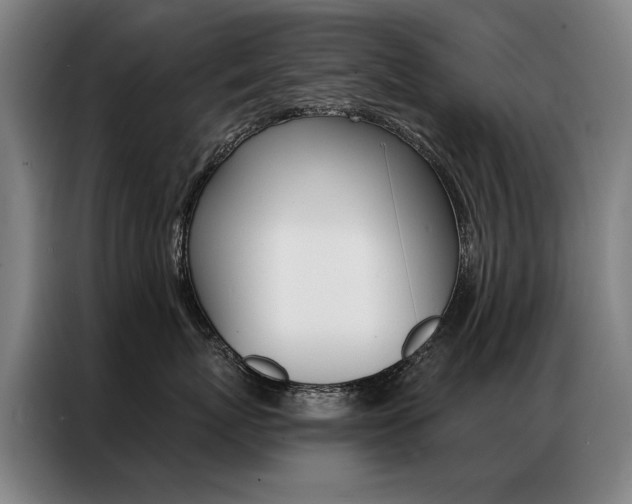 X0000087350767200704200804