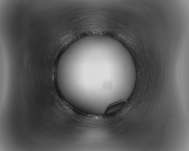 X0000087350768200704200804
