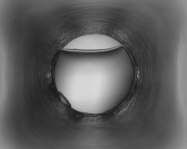 X0000087350771200704200803