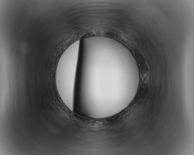X0000087350772200704200803