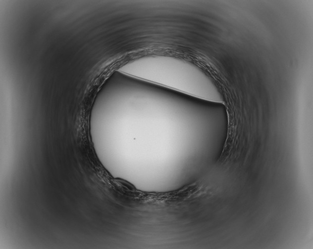 X0000087350773200704200803