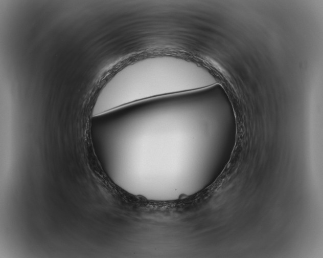 X0000087350775200704200803