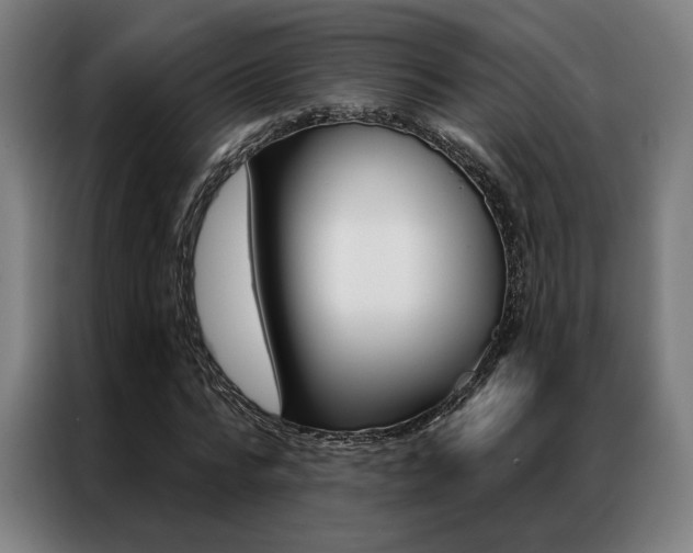X0000087350776200704200803