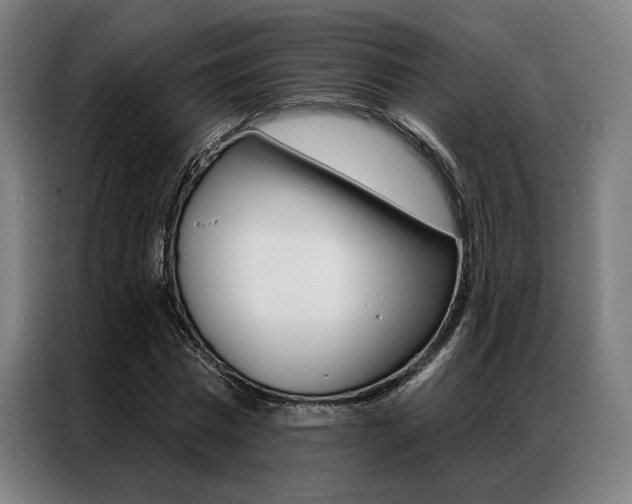 X0000087350777200704200803