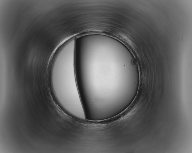 X0000087350779200704200803