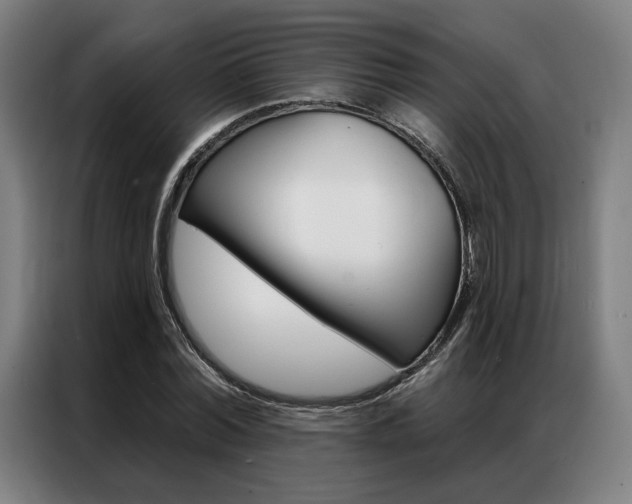 X0000087350780200704200803