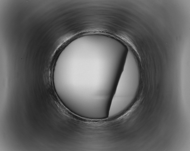 X0000087350781200704200803