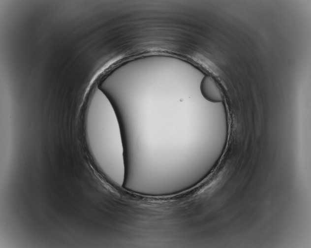 X0000087350782200704200803