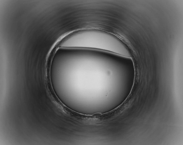 X0000087350784200704200803