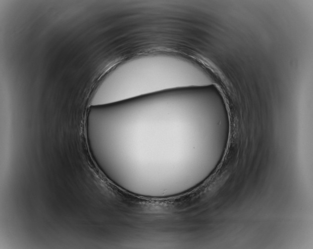 X0000087350785200704200803