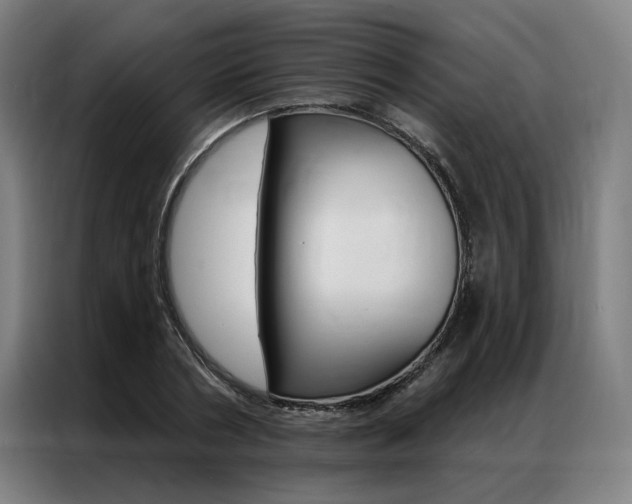 X0000087350786200704200803