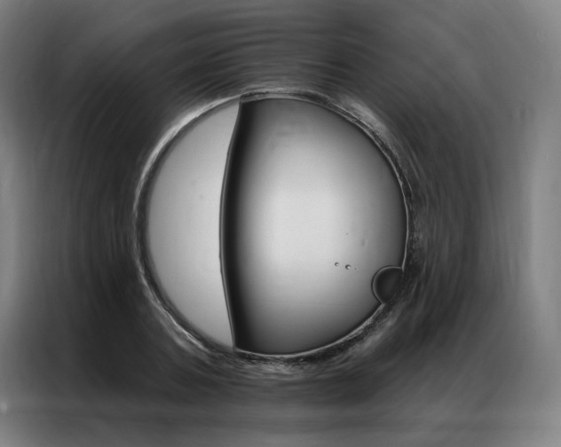 X0000087350787200704200803