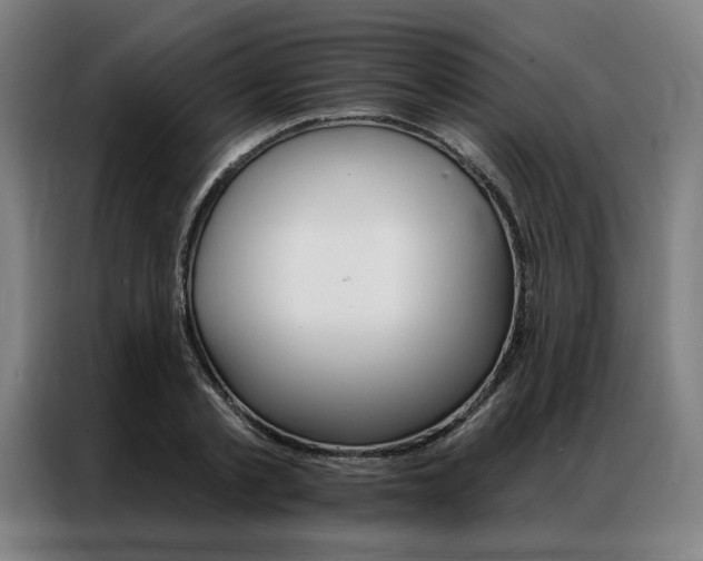 X0000087350789200704200803