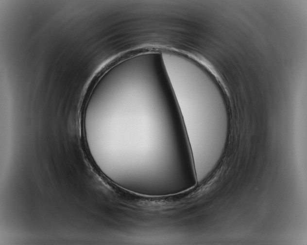 X0000087350791200704200803