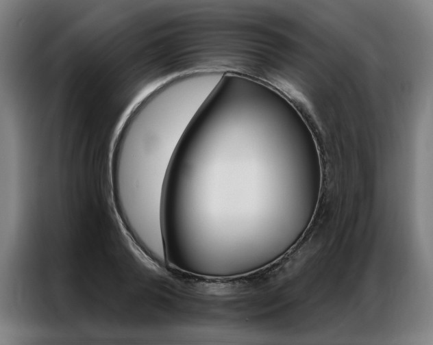 X0000087350792200704200803