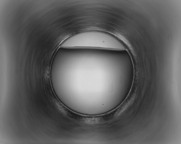 X0000087350793200704200803