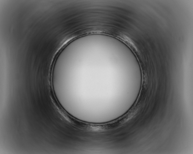 X0000087350794200704200803