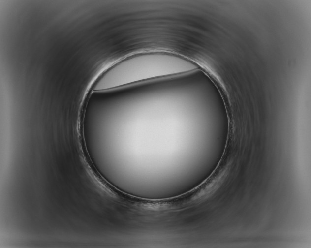 X0000087350797200704200803