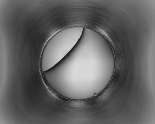 X0000087350802200704200803