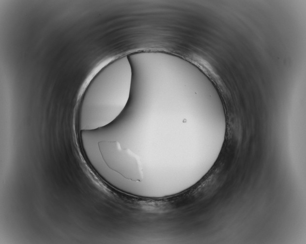 X0000087350804200704200803