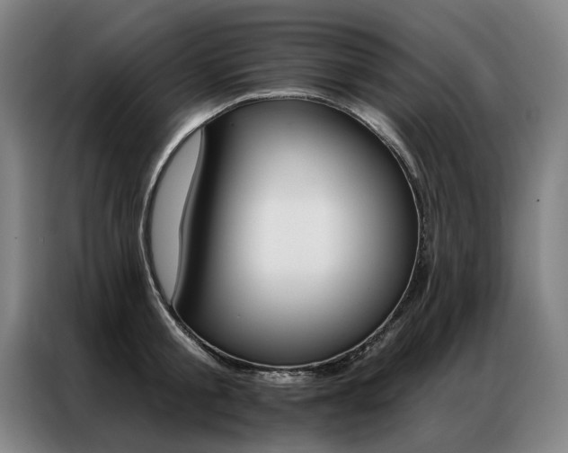 X0000087350805200704200803