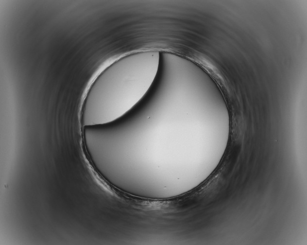 X0000087350808200704200803