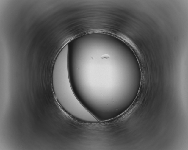 X0000087350809200704200803