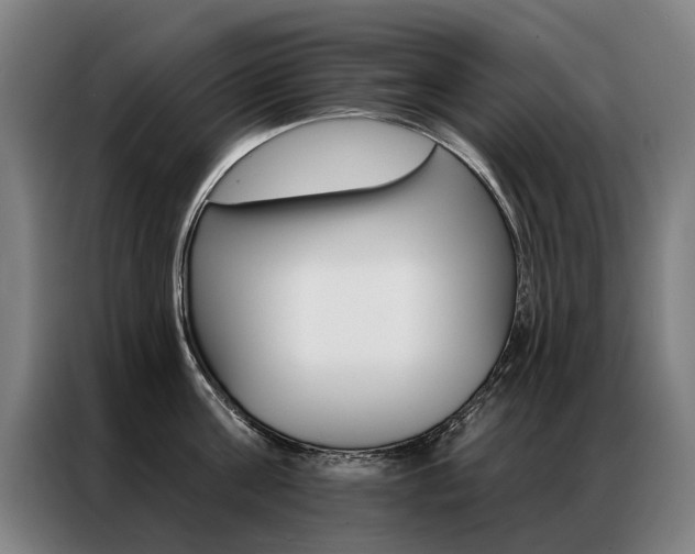 X0000087350811200704200803