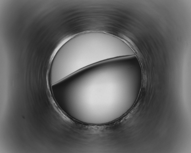 X0000087350812200704200803