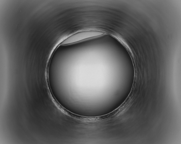 X0000087350813200704200803