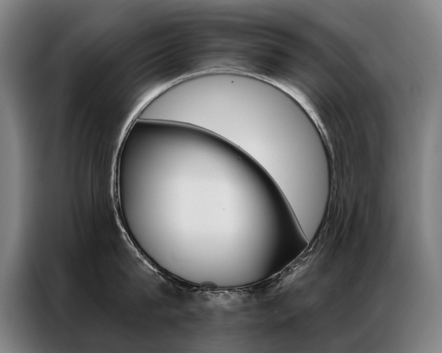 X0000087350815200704200803