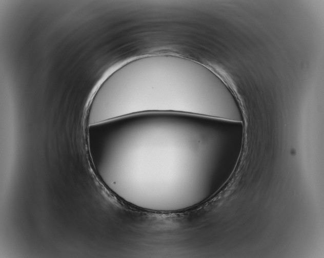 X0000087350816200704200803