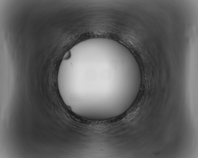 X0000087350817200704200802