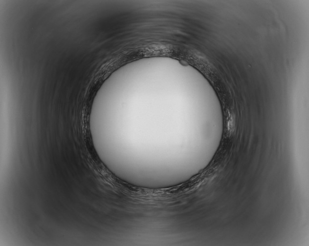 X0000087350819200704200802