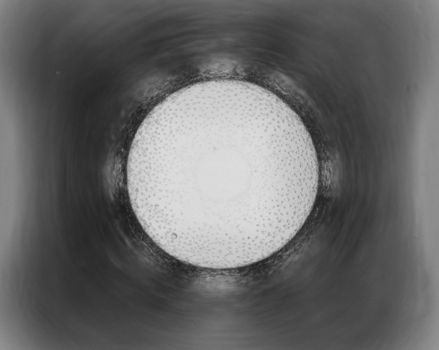 X0000087350820200704200802