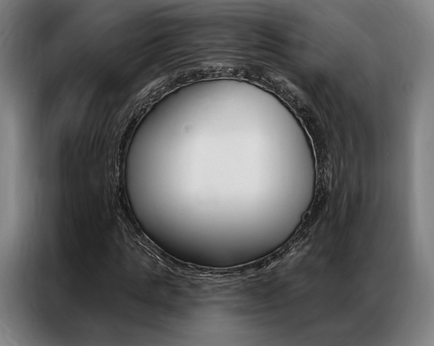 X0000087350821200704200802