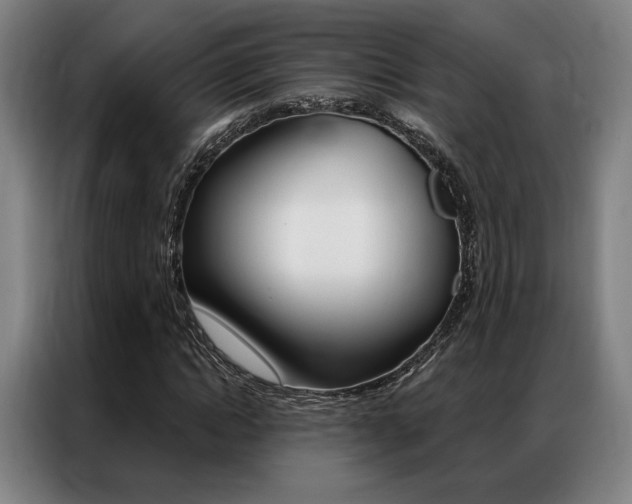 X0000087350822200704200802