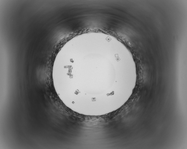 X0000087350824200704200802