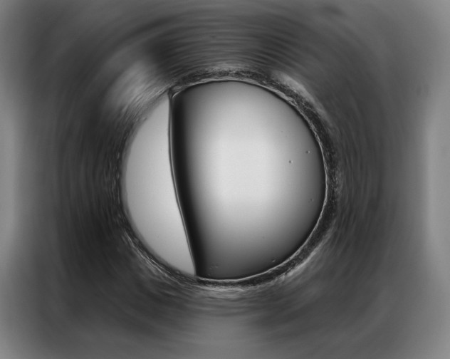 X0000087350825200704200802