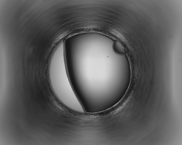 X0000087350826200704200802