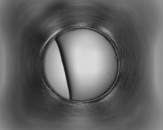 X0000087350827200704200802