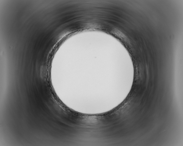 X0000087350828200704200802