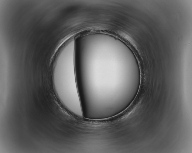 X0000087350829200704200802