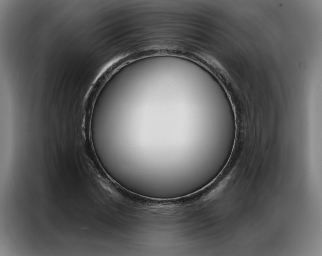 X0000087350830200704200802