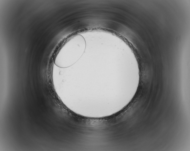 X0000087350832200704200802