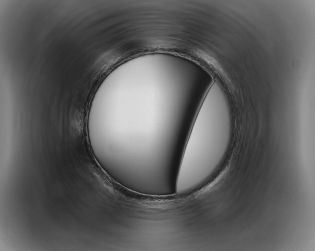 X0000087350833200704200802