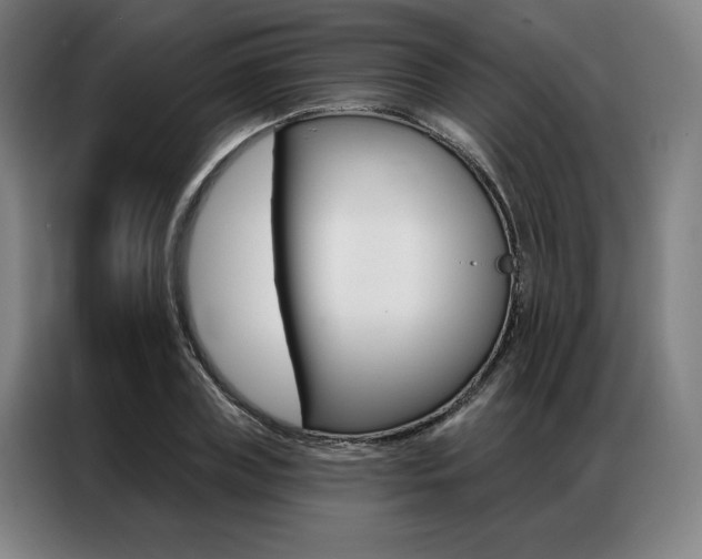X0000087350835200704200802
