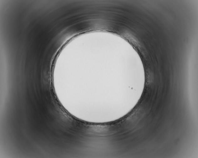 X0000087350836200704200802
